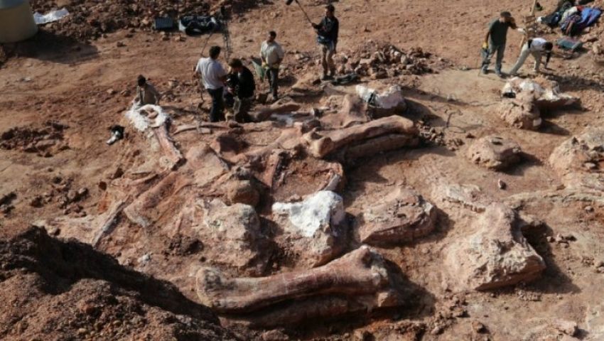 باحثون: اكتشاف هيكل عظمي لديناصور نادر في تونس